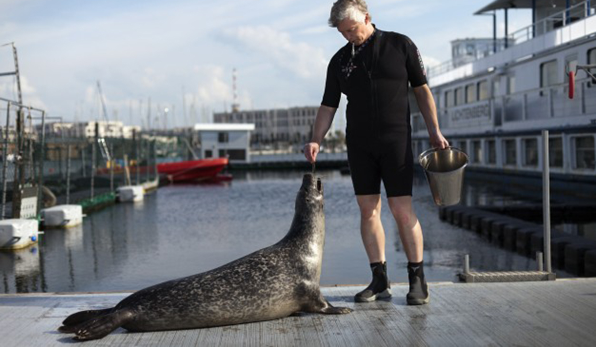  man with seal